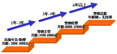 營銷之路 通往世界500強(qiáng)領(lǐng)導(dǎo)層的戰(zhàn)略起點